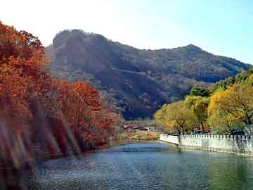 管家婆黑白马报图库，长岭seo